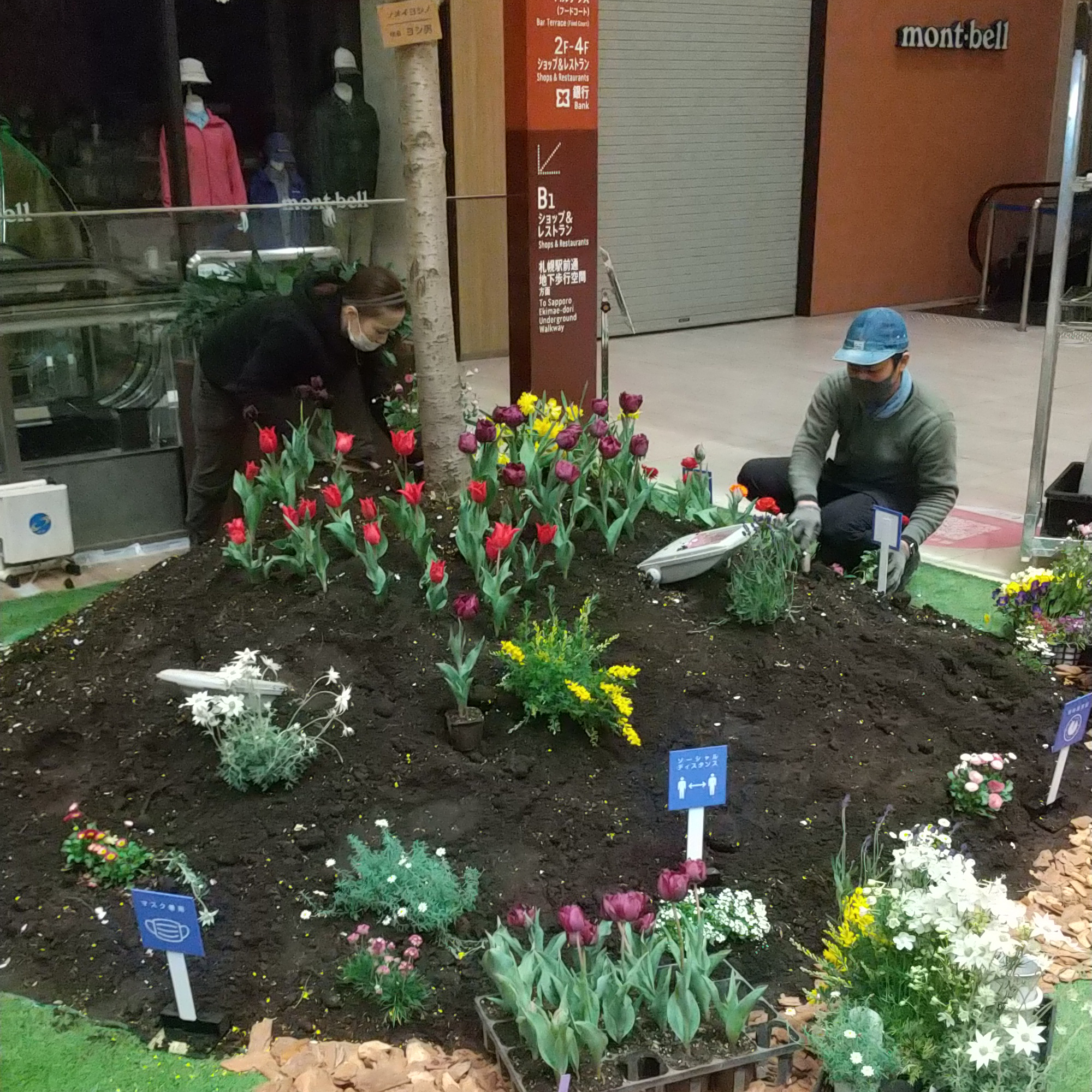 会場風景 - 色とりどりの草花を新たに埋め込みます