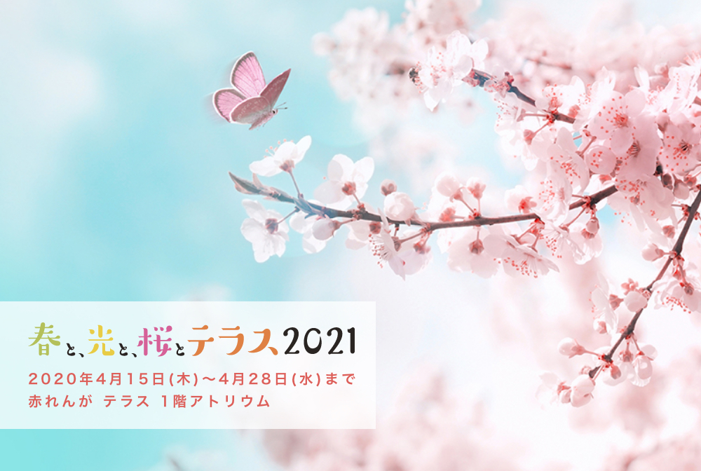 2021年度の”春と、光と、桜とテラス”会場展示は無事終了致しました。